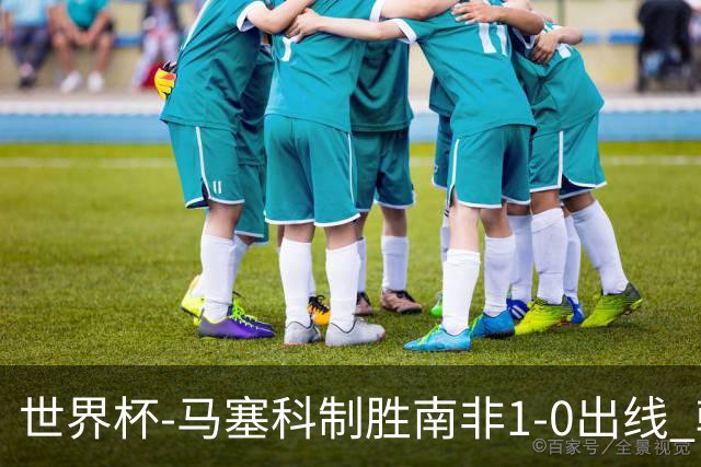 世界杯-马塞科制胜南非1-0出线 韩国积3分获小组第三待定