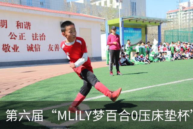 第六届“MLILY梦百合0压床垫杯”世界围棋公开赛国际预选赛5月8日如皋开战